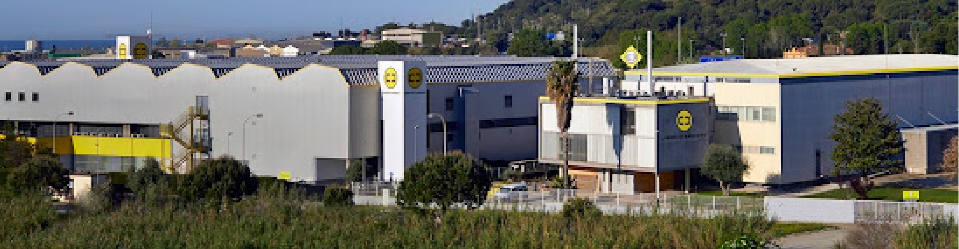 Lorenzo Barroso